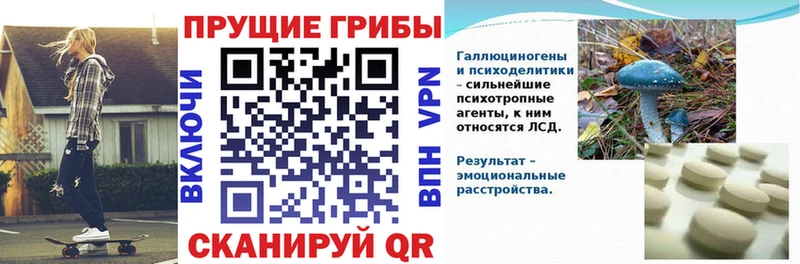 Купить где  Ужур  Галлюциногенные грибы мухоморы 