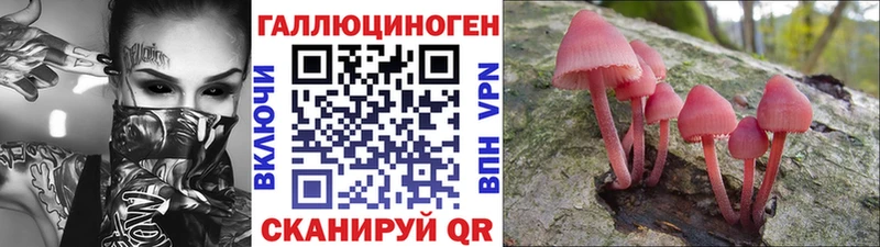 Псилоцибиновые грибы Cubensis Ужур