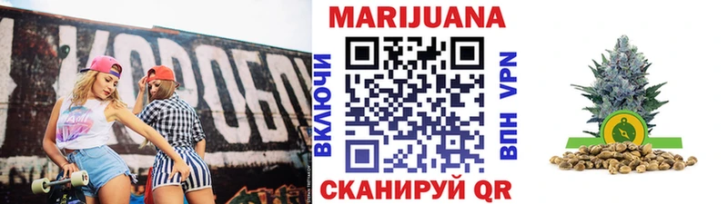 Купить где Ужур Каннабис SATIVA & INDICA